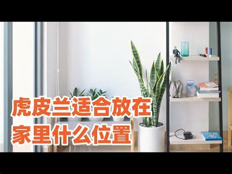 房間放乾燥花好嗎|招厄運又擋桃花的5種臥房風水！改掉壞風水轉運趁現在